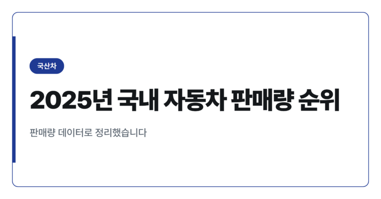 2025년 국내 자동차 판매량 순위, 제조사별로 한눈에 보기